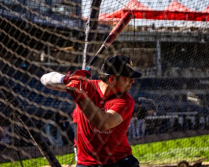 Promoting The Nick Yorke&nbsp;Agenda